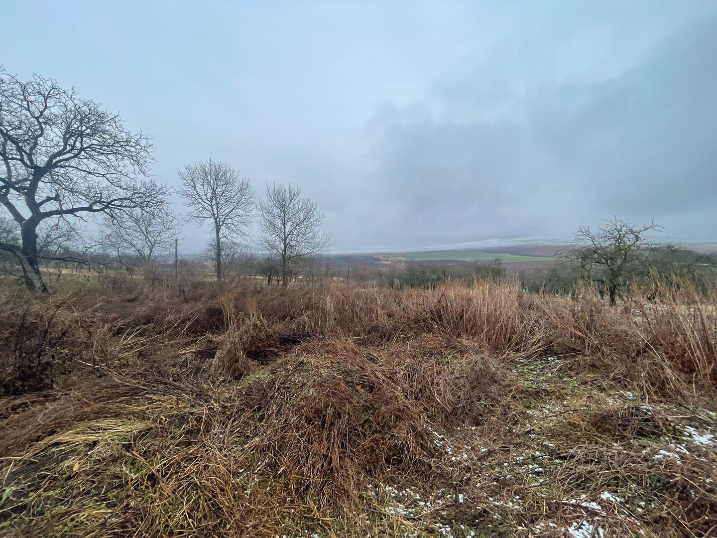 Casa Demolabila | Rediu | Teren 3278 mp | Posibiliate parcelare - Poză 5