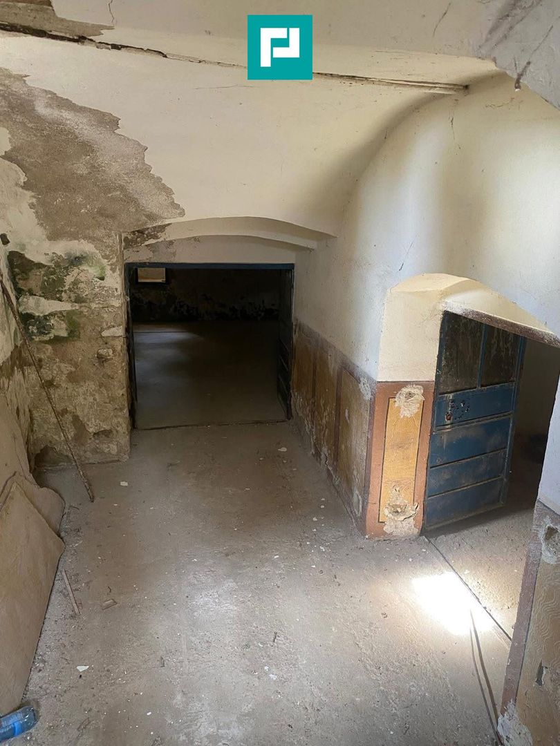 Conac nobiliar de secol XIX cu 8 camere în Maciova - Poză 34