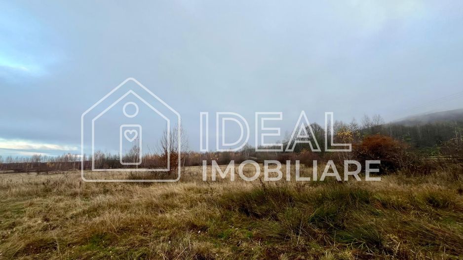 Teren extravilan 6.500 mp – Cârțișoara | Comision 0% - Poză 3