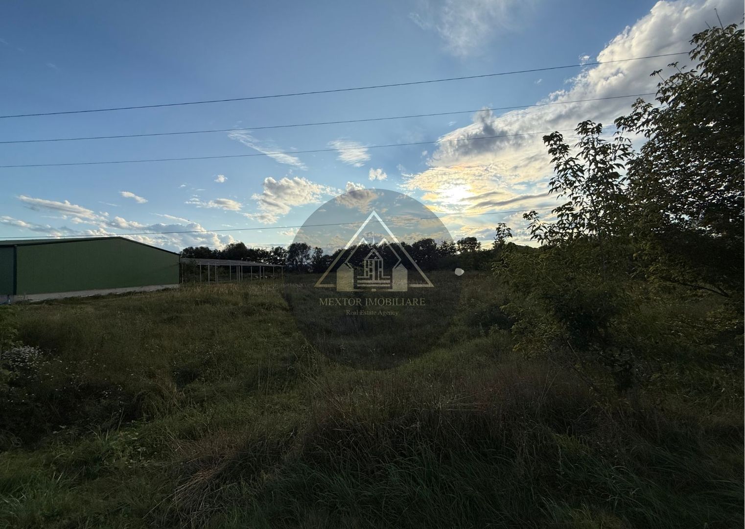 Teren extravilan Alma - Poză 2