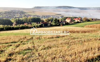 Teren 25.000 mp.  Comuna Voiniceni ,12 euro mp.comision ZERO - Poză 1