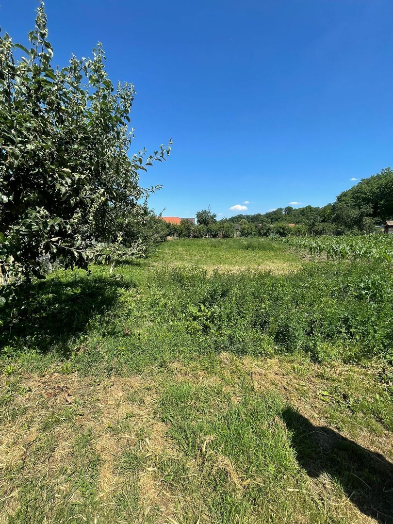Casa ,curte și gradina.Teren cu 2700 mp. - Poză 9