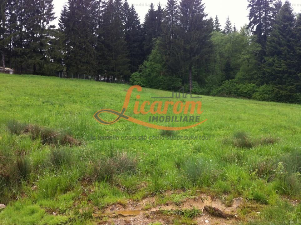 Teren intravilan Cotul Donului,pretabil Hotel/pensiune. - Poză 17