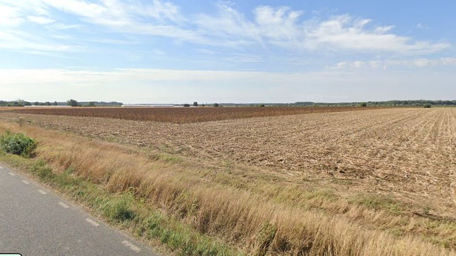 Teren extravilan localitatea Nuci, Ilfov - Poză 1