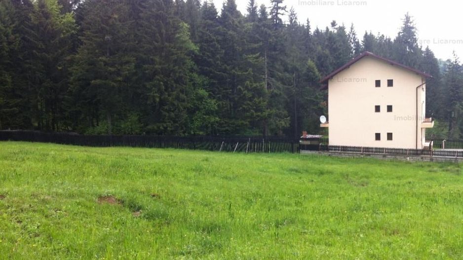 Teren intravilan Cotul Donului,pretabil Hotel/pensiune. - Poză 2