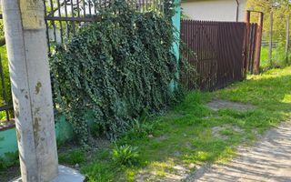 Teren între case cu utilități – la 2 pași de Brațul Borcea, Fetești - Poză 4