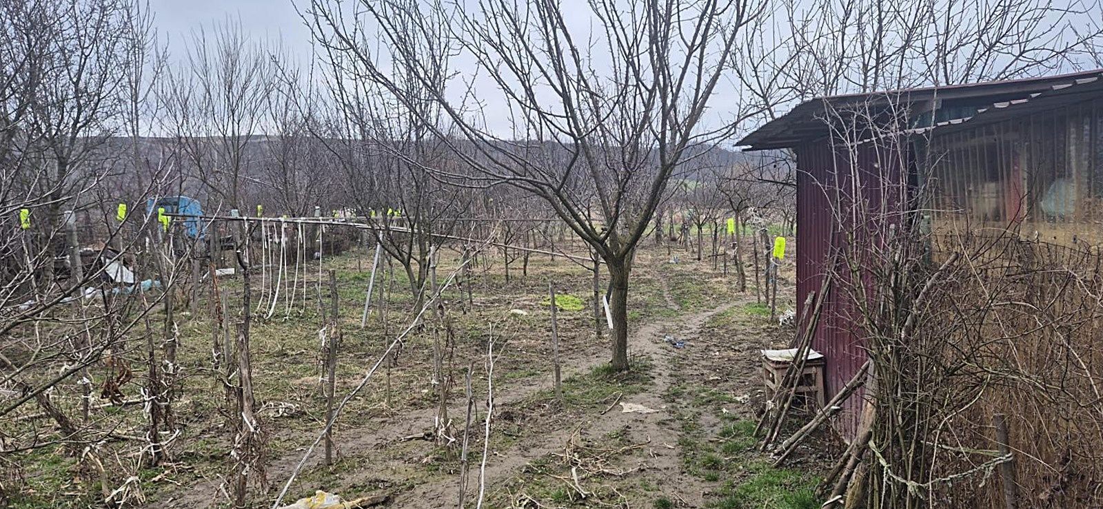 Casa cu teren 4000 mp in Bogei, Bihor - Poză 5
