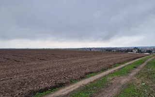 Teren 10,000mp Bacau / Strada Alexandru Safran - Poză 13