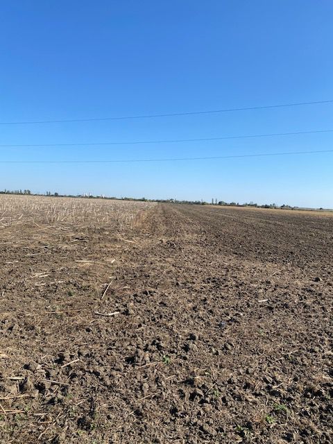 Teren agricol în Zona Sagului - Poză 7