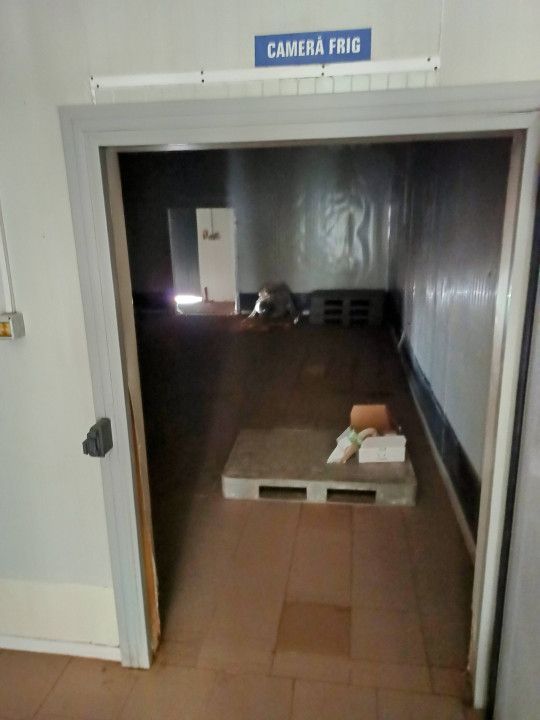 HALA ideala pentru PRODUCTIE ALIMENTARA, Poiana, Ovidiu – 827 mp, teren 4066 mp - Poză 26