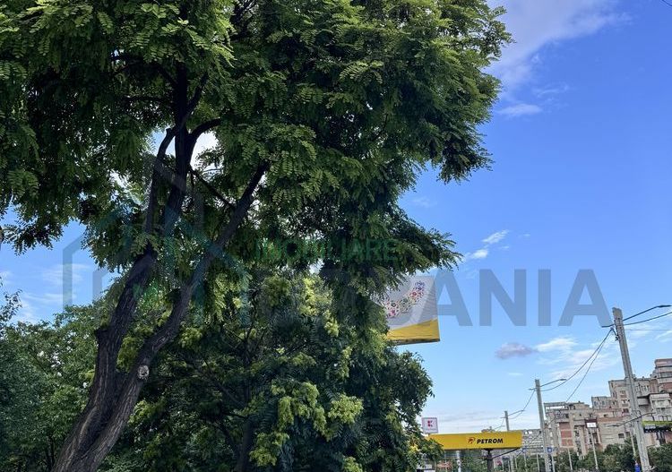 Spațiu comercial de închiriat – 117 mp – Capăt Păcurari, Iași – 13 €/mp - Poză 3