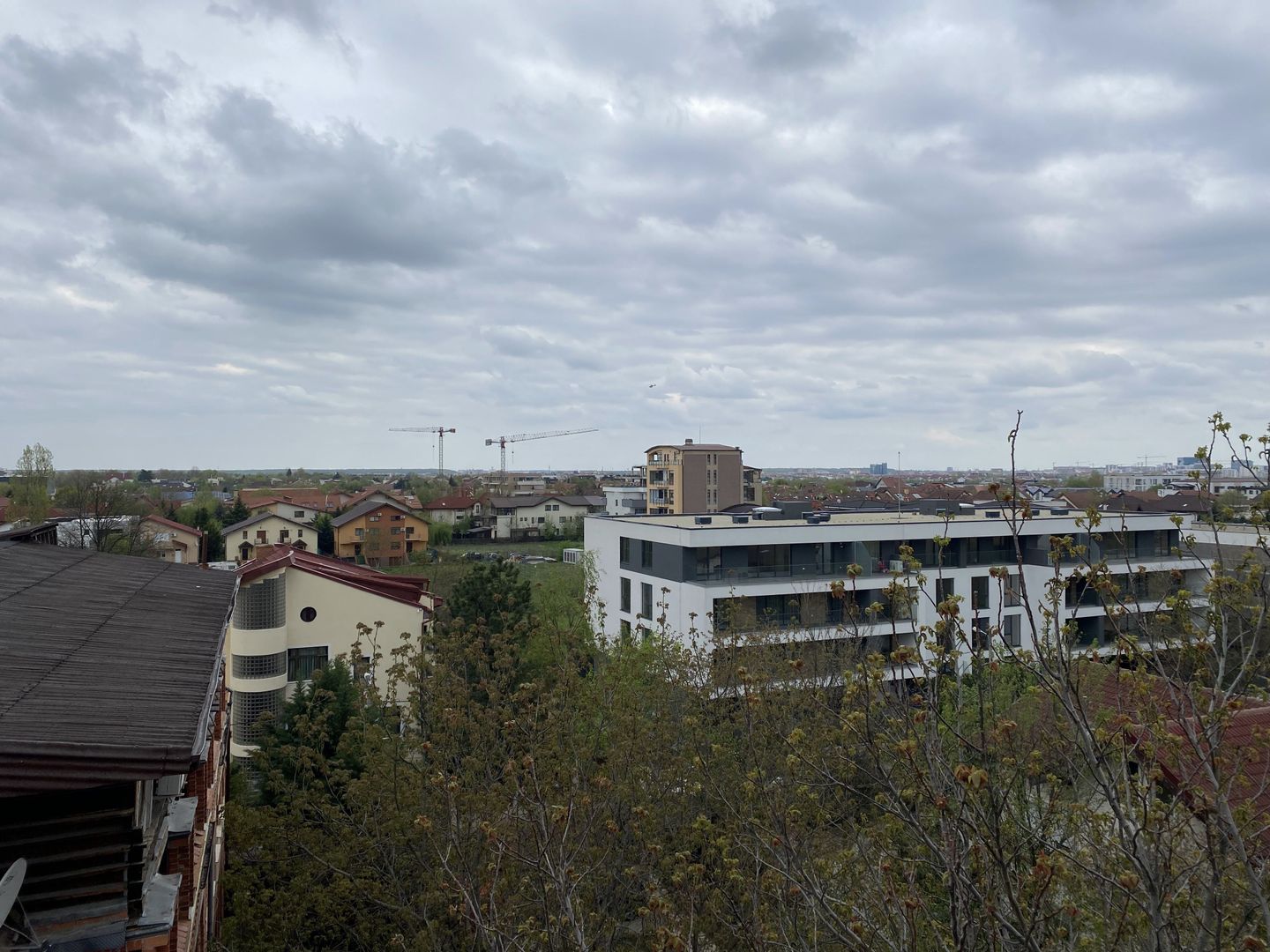 Studio  cochet Erou Iancu Nicolae  - Zoo.  Comision 0% - Poză 11