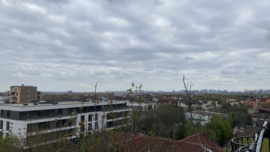 Studio  cochet Erou Iancu Nicolae  - Zoo.  Comision 0% - Poză 10