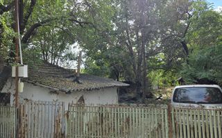 CREVEDIA - DARZA - TEREN 884MP I UTILITATI IN ZONA I COMISION 0% - IMOZONE | - Poză 5