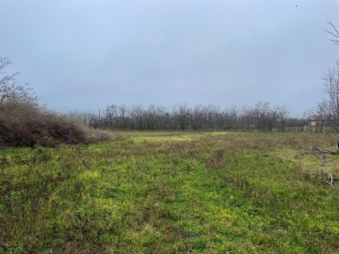 Teren intravilan 3367 mp cu casa demolabile 54 mp puț existent! - Poză 2