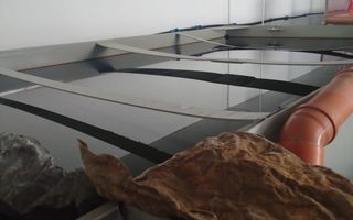 Pensiune + fermă piscicolă (sturion/caviar) | Saru Dornei/Sarisor - Poză 18