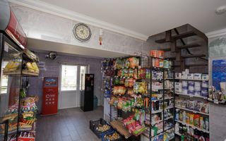 Vânzare, casă + afacere, str. Cetatea Albă, Botanica - Poză 32