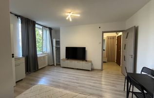 Vânzare Garsonieră/ Închiriere - Bd. Dinicu Golescu - complet renovată