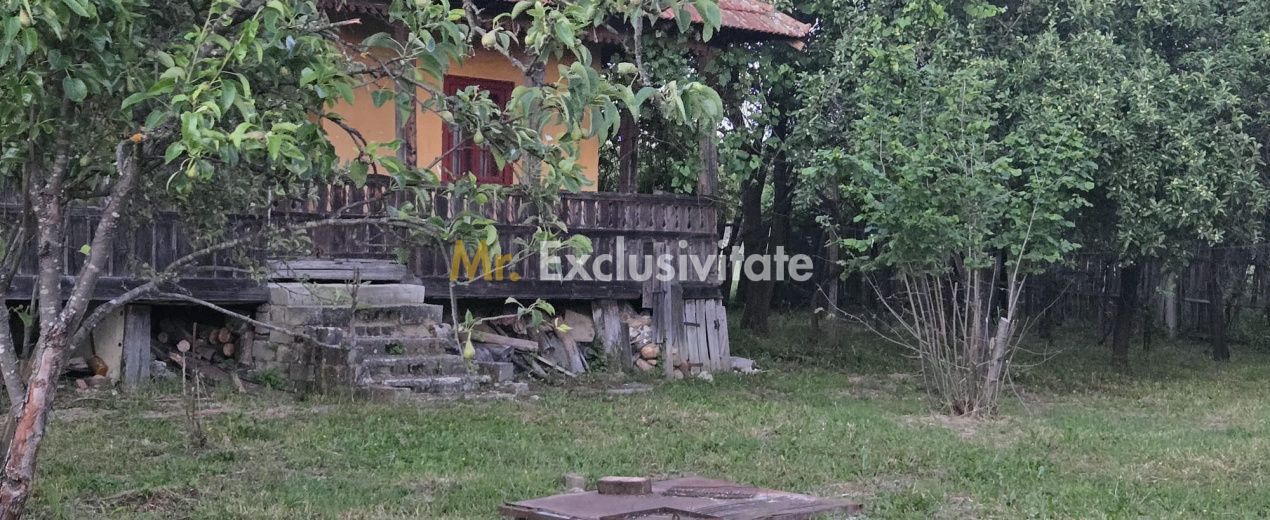 Casă cu 7.769 mp teren și pădure | Budieni | 53.000€ - Poză 6