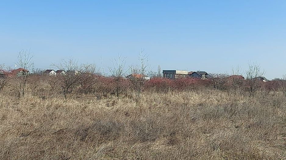 550mp teren intravilan in localitatea Pruni - oras Magurele -jud Ilfov - Poză 4