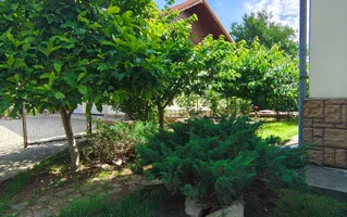 Vila individuala | Curte 400 mp | Garaj 2 auto | zona Pipera - Poză 28