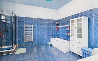 Casă individuală cu teren,  Andrei Șaguna -Traian - Poză 23