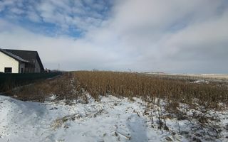 Teren de vânzare Șcheia | Sfantu Ilie | 3.361 mp - Poză 6