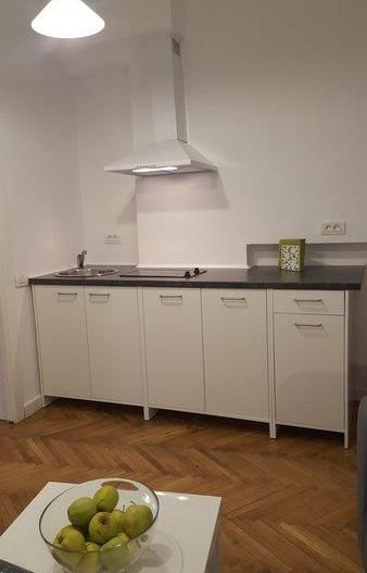 Inchiriere 2 Camere Cismigiu - Sala Palatului - Poză 5