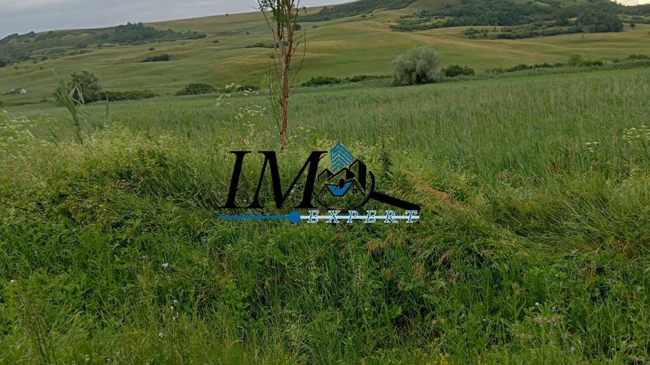 Teren extravilan Drasov - Poză 3