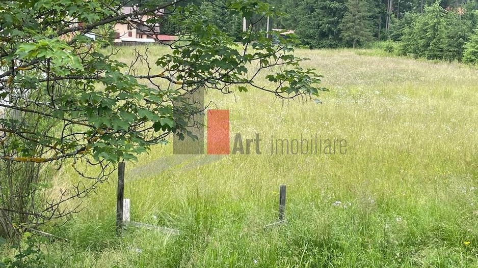 Teren statiunea Cheia, zona centrala, 45 km de Brasov - Poză 4