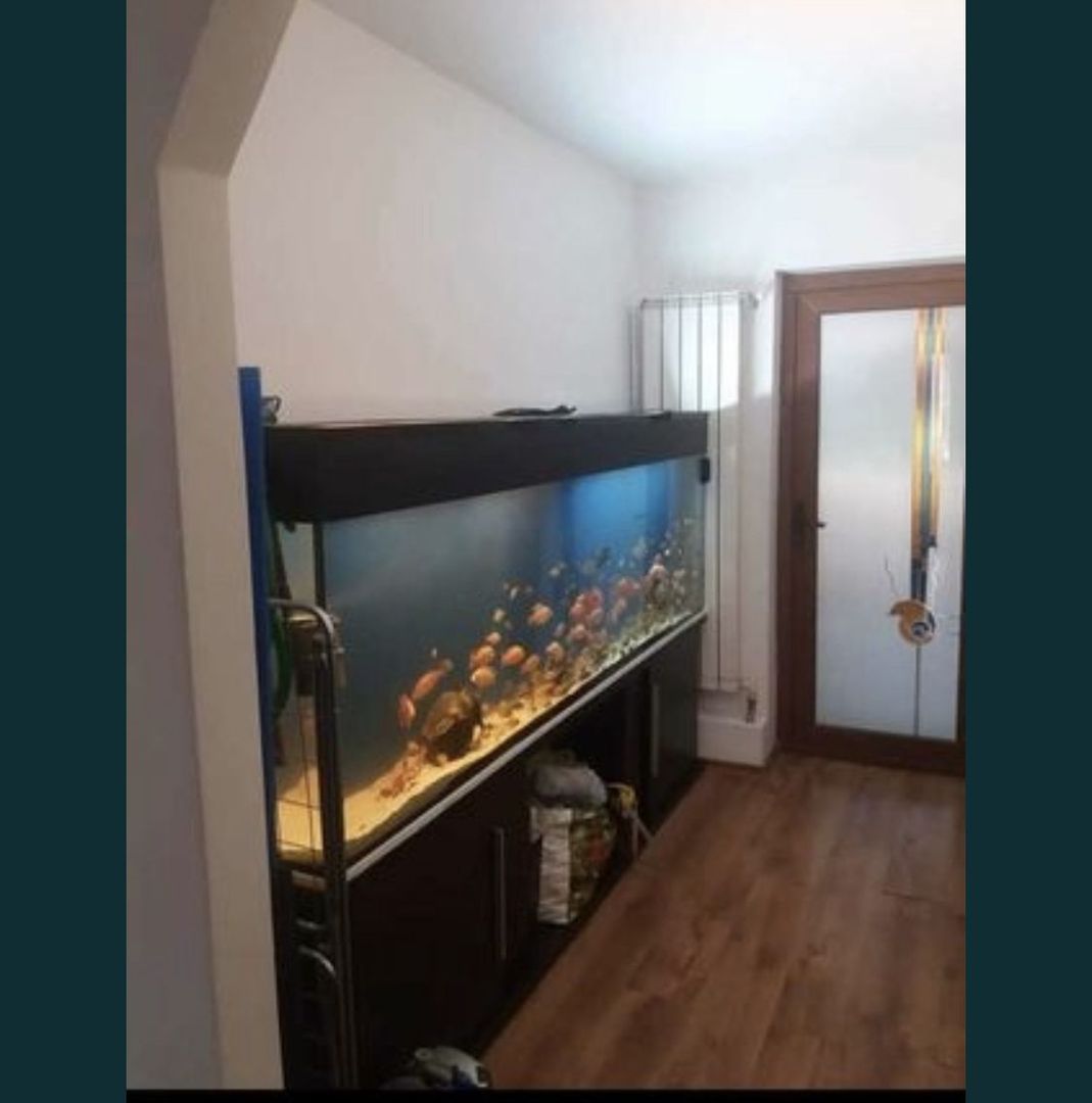 BRASADAS vinde ap 3 cam PARTER 75mp zona POARTA 6. - Poză 1