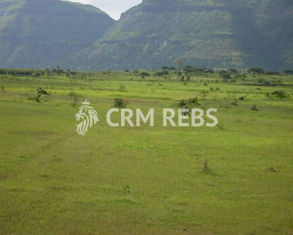 Teren cu PUZ de vanzare in Faget! - Poză 3