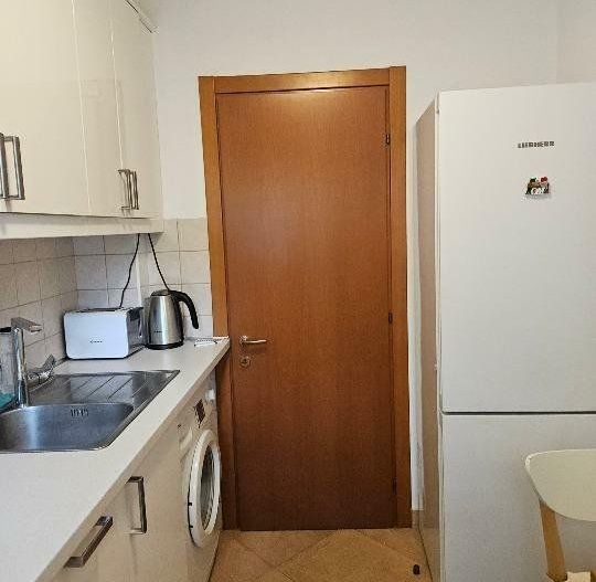 APARTAMENT DOMENII PARCUL COPILULUI - Poză 8