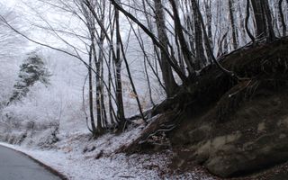 Teren cu izvor de apă minerală  Dangești, Punctul Valea Mare - Poză 20