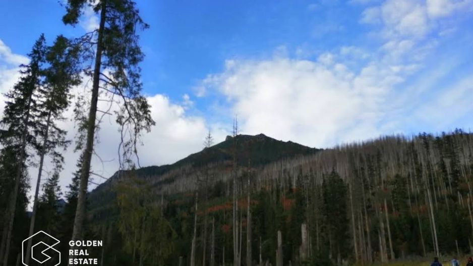 Padure de stejar, Ususau, suprafata 29.800 mp, comision 0% - Poză 1