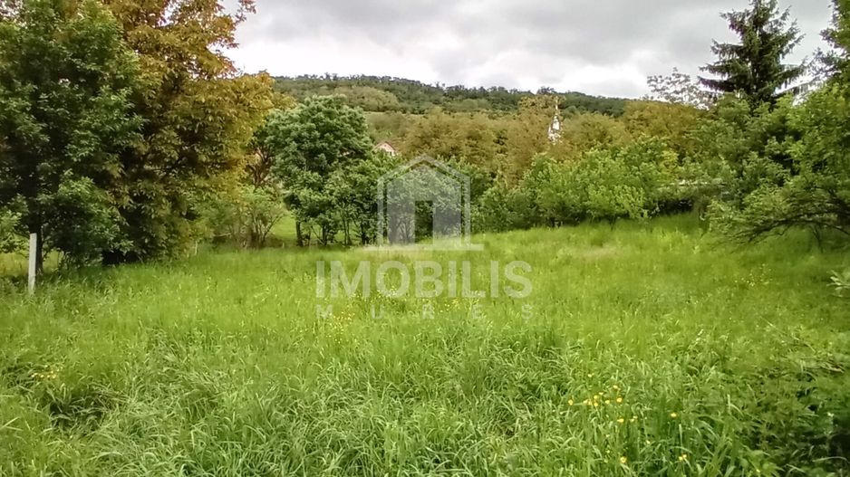 Teren intravilan | Budiu Mic | 994 mp - Poză 2