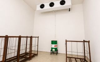 Frigider industrial funcțional 300 tone + transformator propriu | Investiție gata de operare – Speia, Anenii Noi - Poză 17