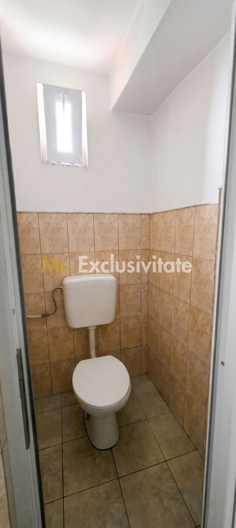 De Vânzare Casă P+M str Vulturului SM - Poză 11