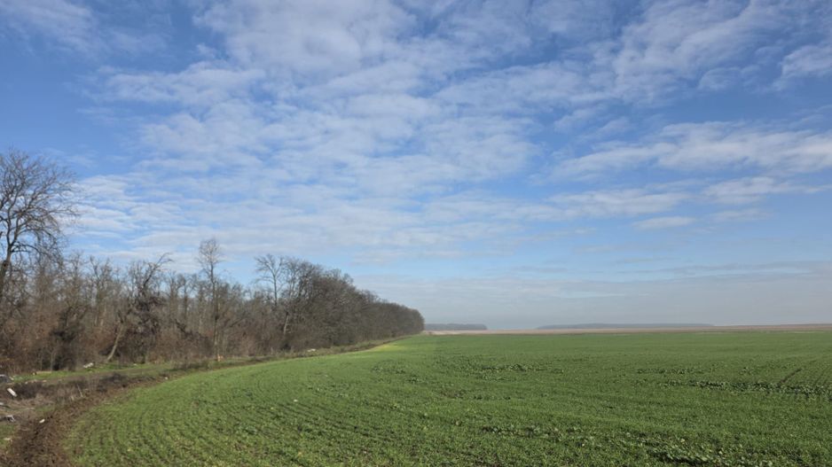 FUNDENi-Oportunitate Majoră de Investiție: 92 286mp - PRET IMBATABIL! - Poză 2