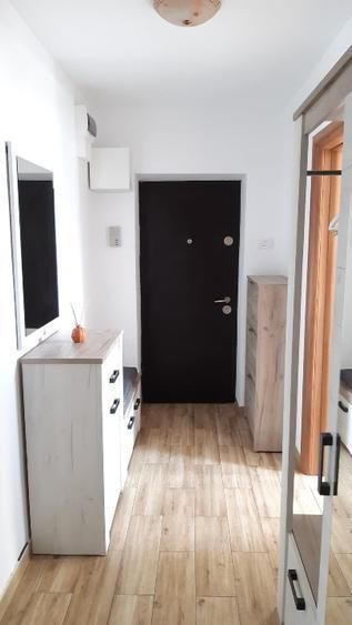 Vanzare Apartament 3 Camere Stradal Fantani Piata Unirii - Poză 6