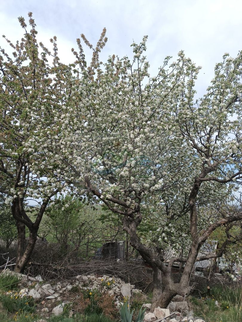 Teren de vanzare Adâncata - Poză 7