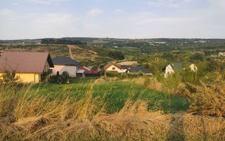 Teren Iasi barnova  visani, - Poză 6