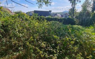 Casa individuala cu 3 camere,CODLEA - DUMBRAVITA ,65000 euro - Poză 9