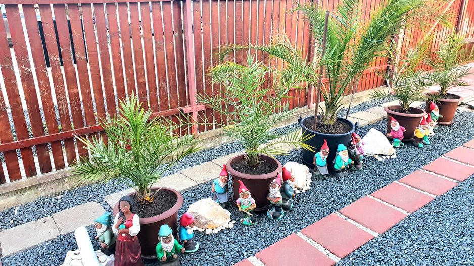 Casa individuala - Dumbravita - Poză 14