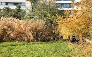 Apartament 3 camere | Vedere libera | Chitila - Poză 15