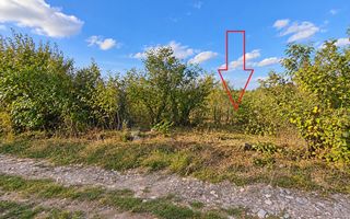 LOT POMICOL DE VÂNZARE – 5,7 ARI | IALOVENI  Î.P. „Floare-Carpet - Poză 6