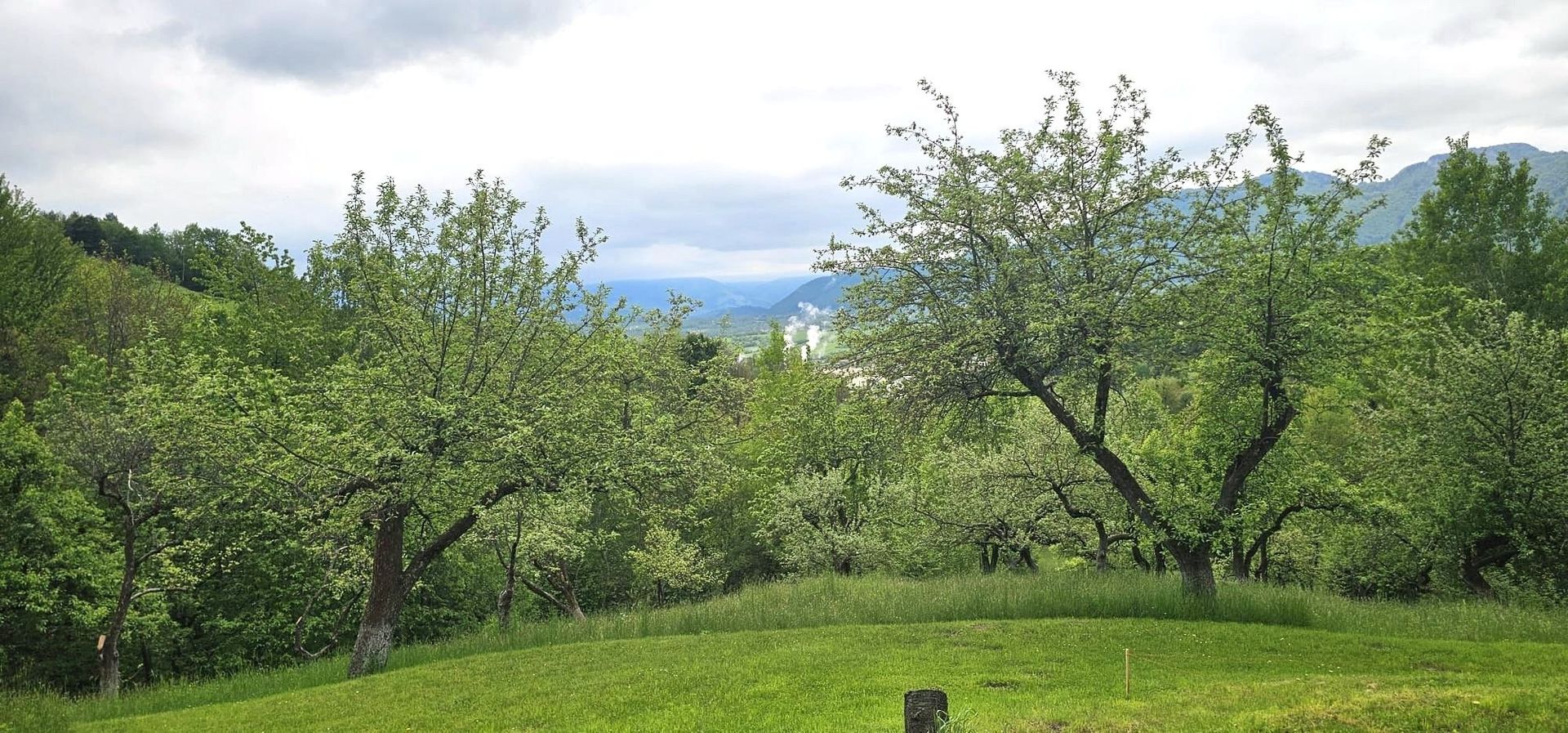 Domeniu Premium 1.7 Ha Intravilan Zărnești | Lizieră Pădure | Ideal Resort - Poză 8