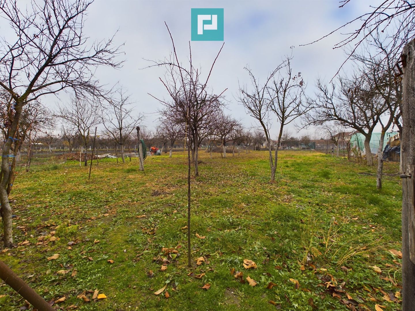 Casa cu 4 camere in Cicir - Poză 2