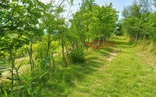 Lot pomiol în Sângera | Î.P. „Roadă Bună” | Zonă Locuită - Poză 6