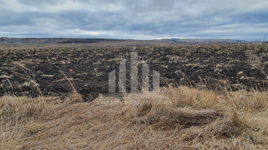 Vand teren extravilan - Poză 4